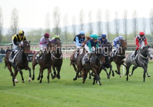 Kategorie: Avenches, 7.4.2014 (S.Schär)